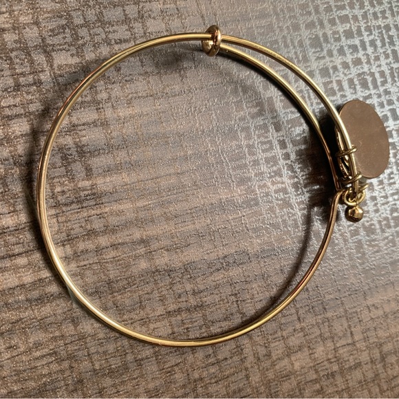 🌈 3/$15 Family Charm Bracelet Costume Jewelry - Picture 2 of 5